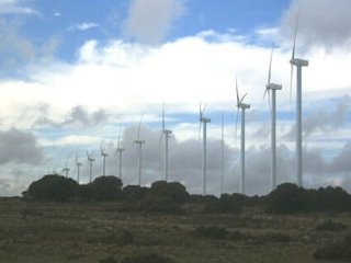 MOLINOS VIENTO 02